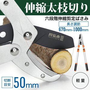 XpƂ ΂  ͂ݎ}؂͂ }؋ |pnT~ K[fjOnT~ ₷ |΂ ͂ p ƒ؉ | A  A ʎp