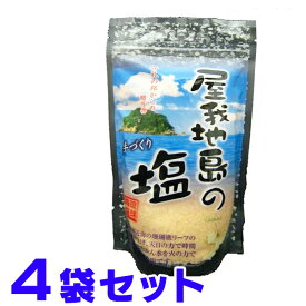 塩 屋我地島の塩 250g ×4