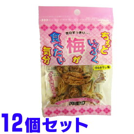 ちょっといっぷく 梅 が食べたい気分 バニラ味 プチ 10g×12個 船メール便