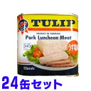 チューリップ TULIP ポーク 340g缶詰×24缶 うす塩味 賞味期限2028年7月以降 ポークランチョンミート
