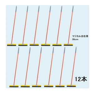 (12{Zbg) bH }WJ 30cm R c 21110