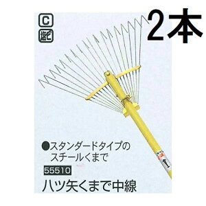 (2{Zbg) bH F (܂)  (18{) X`[[L 55510 (c X`[F c ܂)@zs