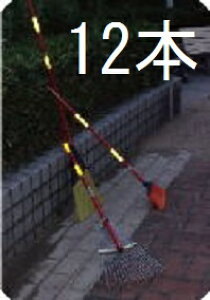 (12{Zbg) bH F S܂  (18{) X`[[L X`[F c ܂ 55516 (@ll I)