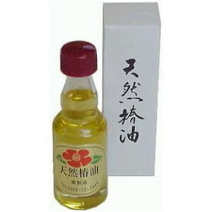 Lⴂ̂ ֖ 55cc m΂ 돤Xn