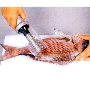 Ɩp dER@ sIj[ F-SR^ m낱 ERn