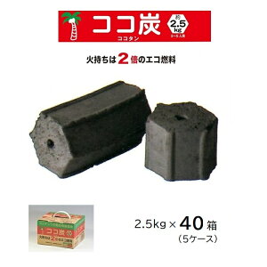 40 (8×5P[X) RRY 2.5kg ؒY 2{ RĎԂ o[xL[p RRibcY | @l艿i