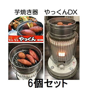 (p6Zbg) Ă ₫  DX Ă 㐻쏊