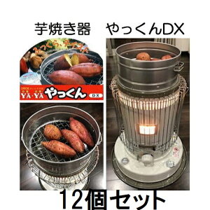 (12Zbg) Ă ₫  DX Ă 㐻쏊