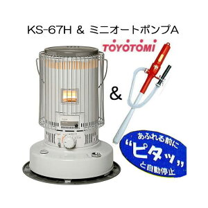 (~jI[g|vAt) gg~ Η^ ΖXg[u KS-67H zCg 17`24