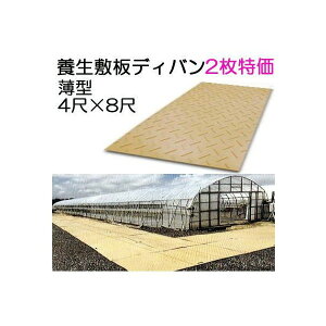 (2���Z�b�g����) �{���~�� �f�B�o�� ���^ 4��×8��×13mm 1219×2438×13mm (8mm�ʕ�5mm) 27kg �_�Ɨp ���F (�@�l�͂�or�c�Ə��ň����)