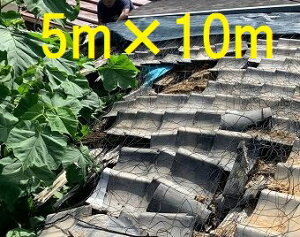 (Yi ̓^Cv) Uh~lbg 50 5m×10m 24 (h 䕗  ˕  h ΍) {