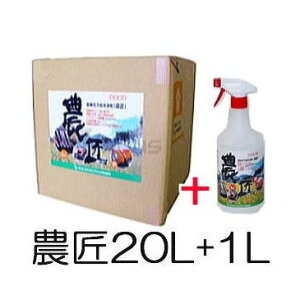 (p20L+1LZbg) _@ \ _ ̂傤 TGXGWjAO