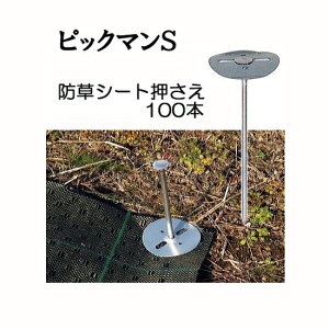 (100{Zbg) L{V sbN}S A~B^Cv 7657 hV[g 65×18cm (zmG4)