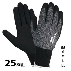 25o(5P×5Zbg) BD-510 ebNXXyV v~A (SSESEMELELL TCYI) xmO[u 