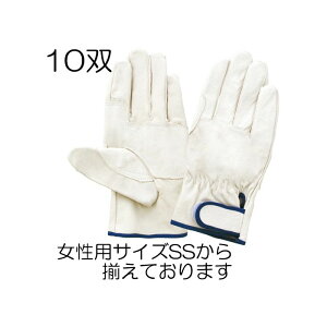 (10oZbg) Ǝ EX-233ؔ烌CW[^Aet(TCYI SS/S/M/L/LL) xmO[u