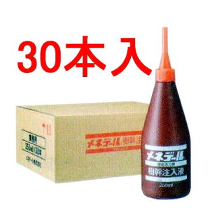 (iE11ח\) lf[ t 250ml×30{Zbg mA͑f 엿 돤Xn