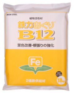 A S͂ B-12 18kg 2SCI i B12 []