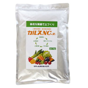 JXNC-R 1kg  `bNt T[yY (ƒ؉10ؗp yǎ  zm SDSmFς)