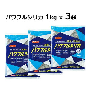 (3) ptVJ 1kg TJ^̃^lƎzŊJ ̓yǍނœyẨۑ (PC_ 2S }OlVE)|^[pbN zm