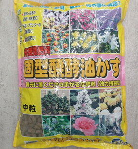 �Ō^���y������ ���� 5kg ����ڂ蔭�y�Ō`���� �Ō^���� ���������|