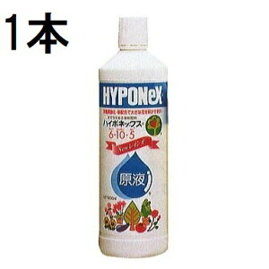 nC|lbNX t NEWCVI 800ml (^[pbNor쓙)