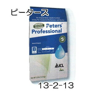 nC|lbNX s[^[X 13-2-13 10kg