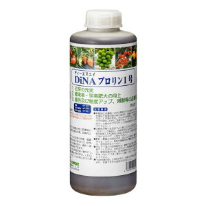 DiNAv1 1L | j_AA~m_(vE`Ij)yуPpbN66(CGLX)听̉t DNA CC_Xg[Y