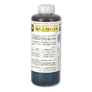 DiNAv3 1L | j_AA~m_(v)yуPpbN66(CGLX)听̉t DNA CC_Xg[Y