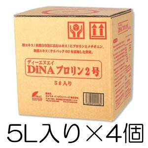 DiNAv2 5L×4Zbg | j_AA~m_(vE`Ij)yуPpbN66(CGLX)听̉t DNA CC_Xg[Y