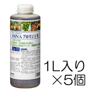DiNAv1 1L×5Zbg | j_AA~m_(vE`Ij)yуPpbN66(CGLX)听̉t DNA CC_Xg[Y