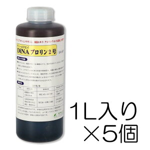 DiNAv2 1L×5Zbg | j_AA~m_(vE`Ij)yуPpbN66(CGLX)听̉t DNA CC_Xg[Y