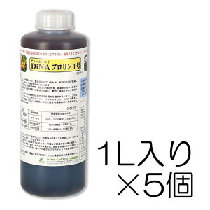 DiNAv3 1L×5Zbg | j_AA~m_(v)yуPpbN66(CGLX)听̉t DNA CC_Xg[Y