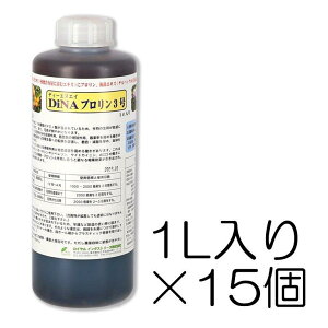 DiNAv3 1L×15Zbg | j_AA~m_(v)yуPpbN66(CGLX)听̉t DNA CC_Xg[Y