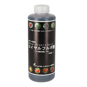 Ct{_ 1L Iv̎񂾈SESȓyǎ ̓yɐΓIɕsȗL@_ut{_vt CC_Xg[Y