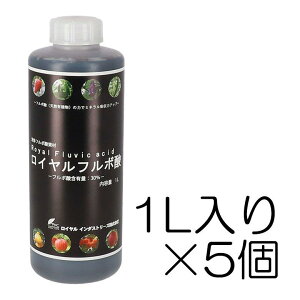 Ct{_ 1L×5Zbg Iv̎񂾈SESȓyǎ ̓yɕsȗL@_ut{_vt CC_Xg[Y