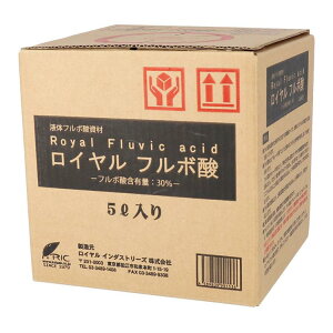 Ct{_ 5L Iv̎񂾈SESȓyǎ ̓yɕsȗL@_ut{_vt CC_Xg[Y