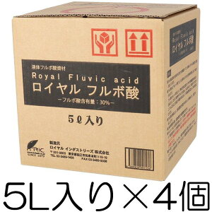 Ct{_ 5L×4Zbg Iv̎񂾈SESȓyǎ ̓yɕsȗL@_ut{_vt CC_Xg[Y