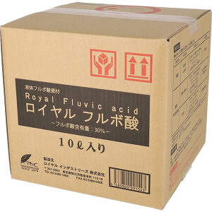 Ct{_ 10L Iv̎񂾈SESȓyǎ ̓yɕsȗL@_ut{_vt CC_Xg[Y