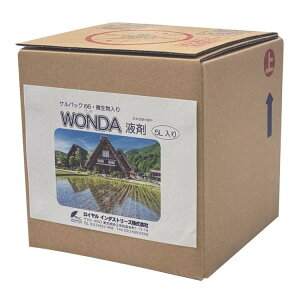 PpbN66EWONDAt 5L CGLXAA~m_𑍓oCIXeB~g ΍ CC_Xg[Y