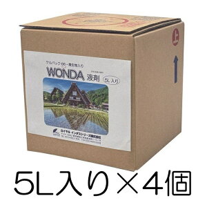 PpbN66EWONDAt 5L×4 CGLXAA~m_𑍓oCIXeB~g ΍ CC_Xg[Y