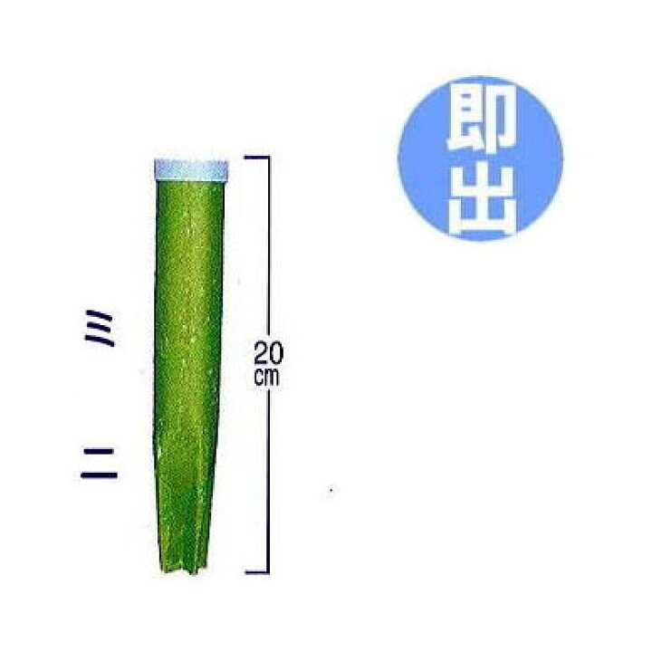 楽天市場】樹木専用打込み肥料 業務用 グリーンパイル ミニ G-180 3 