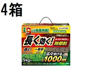 (4Zbg P[X)  NTmEX 5kg ZFw| (@llI)