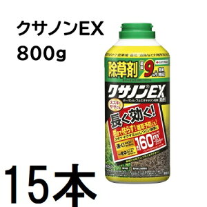 (15{P[X) ZFw|  NTmEX 800g (NTmDX̌pi)