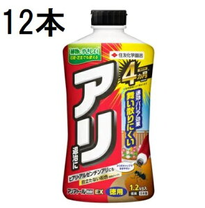 (12{P[X) AAg[EX 1.2kg Qގ sQE ZFw| (@llI)