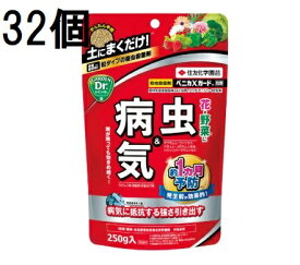 (32個ケース特価) ベニカXガード粒剤 250g 害虫退治 殺虫殺菌剤 住友化学園芸 (法人個人選択)