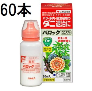 (60{P[X) obNtAu 20ml Qގ E ZFw| (@llI)