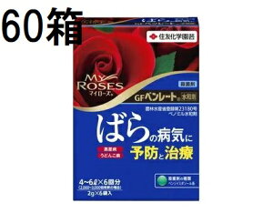 (60 P[X) GF x[ga 2g×6 Qގ E ZFw| (@llI)