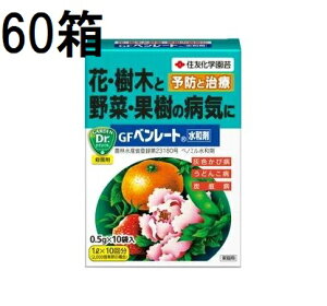 (60 P[X) GF x[ga 0.5g×10 Qގ E ZFw| (@llI)