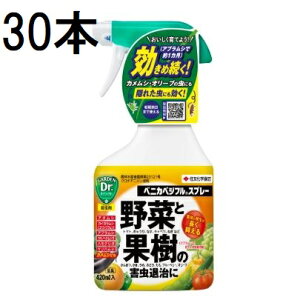 (30{P[X) xjJxWtXv[ 420ml Qގ E ZFw| (@llI)