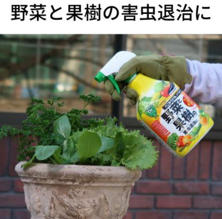 楽天市場】(15本ケース特価) ベニカベジフルスプレー 1000ml 害虫退治 
